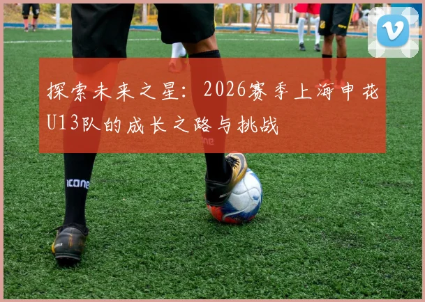 探索未来之星：2026赛季上海申花U13队的成长之路与挑战